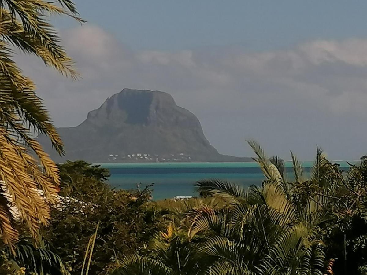 Terre Et Mer - Studios - Ile Maurice Ривьер-Нуар Экстерьер фото